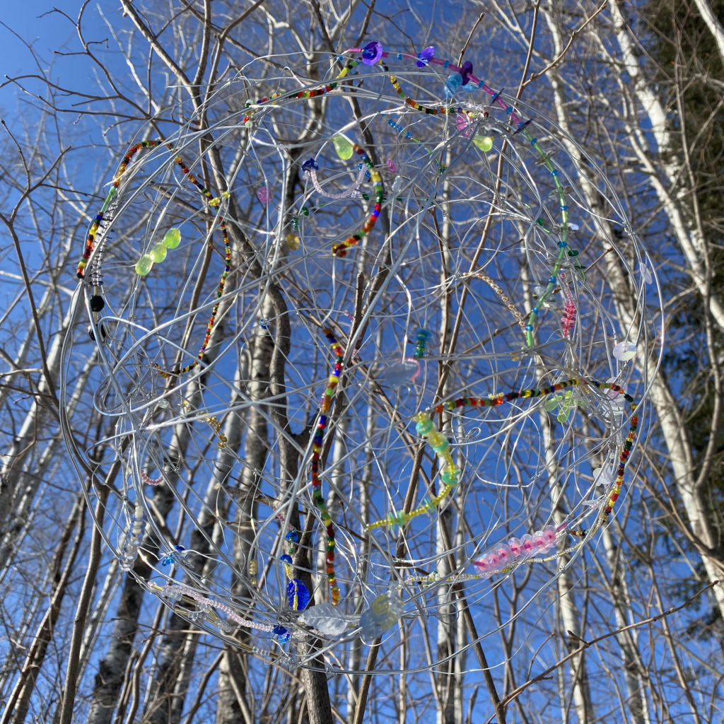 Chromosome Territories